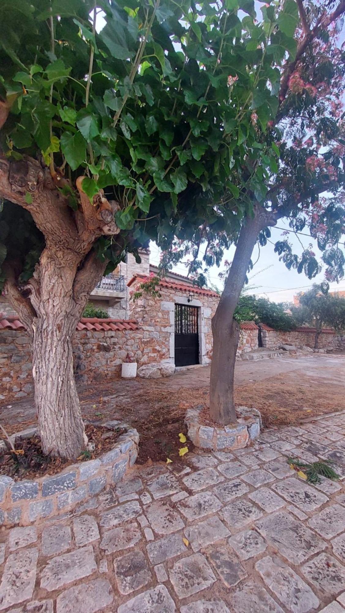 200 Year Old 'Kamara Suite' With Private Garden Pírgos Dhiroú Eksteriør bilde